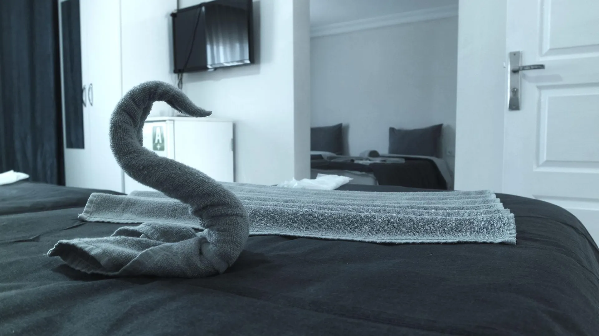 Reydel Hotel Istambul Turquia